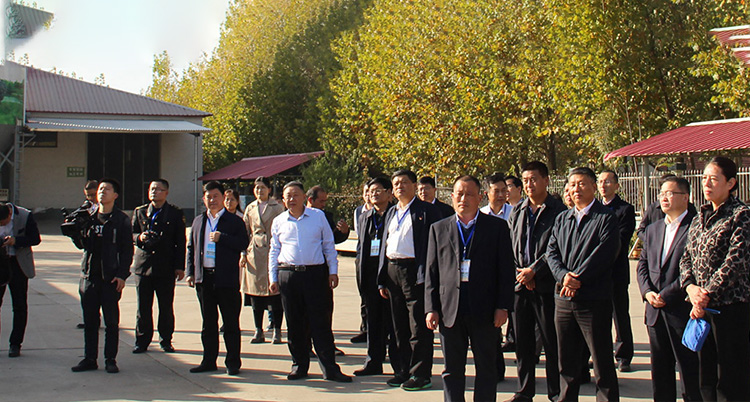 山東金秋農牧科技股份有限公司