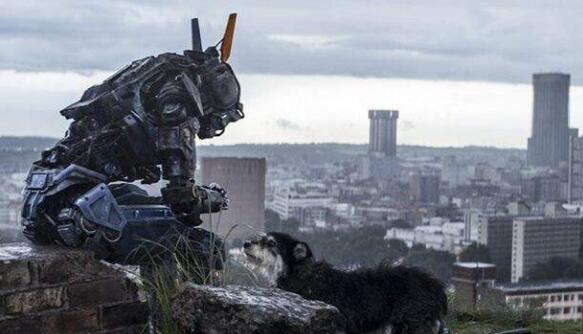 人工成本的提升讓晶振帶領(lǐng)的工業(yè)機(jī)器人逐漸占領(lǐng)制造業(yè)